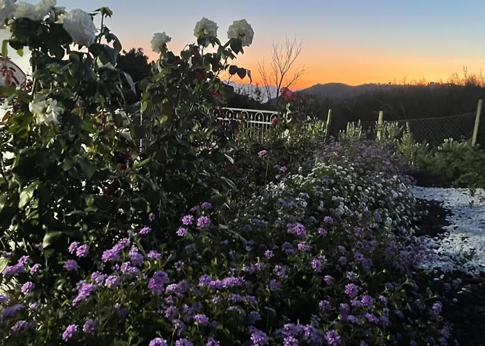 Casa Aury Tatil Evi Cefalù